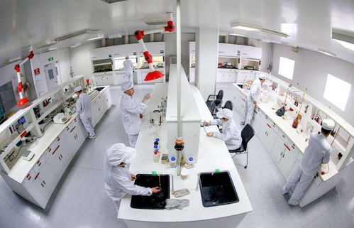 中國恩菲 新能源金屬基礎(chǔ)材料產(chǎn)業(yè)鏈技術(shù)體系開發(fā)與應(yīng)用