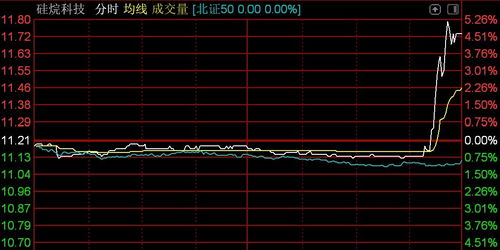 北交所震蕩調(diào)整 逾百股下挫，技術(shù)開發(fā)板塊承壓——以n鴻智超14%領(lǐng)跌為例