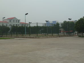 焦作高新技術(shù)創(chuàng)業(yè)服務(wù)中心 構(gòu)建全方位技術(shù)服務(wù)平臺(tái)，賦能企業(yè)創(chuàng)新成長(zhǎng)